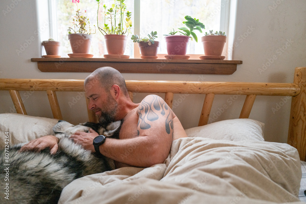 Man cuddling Alaskan malamute dog in bed in the morning Man cuddling Alaskan malamute dog in bed in the morning