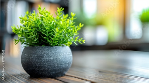   A tight shot of a plant in a vase on a table, surrounded by blurred bookshelves behind photo