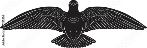 Pigeon or Rock dove bird silhouette vector design handmade.