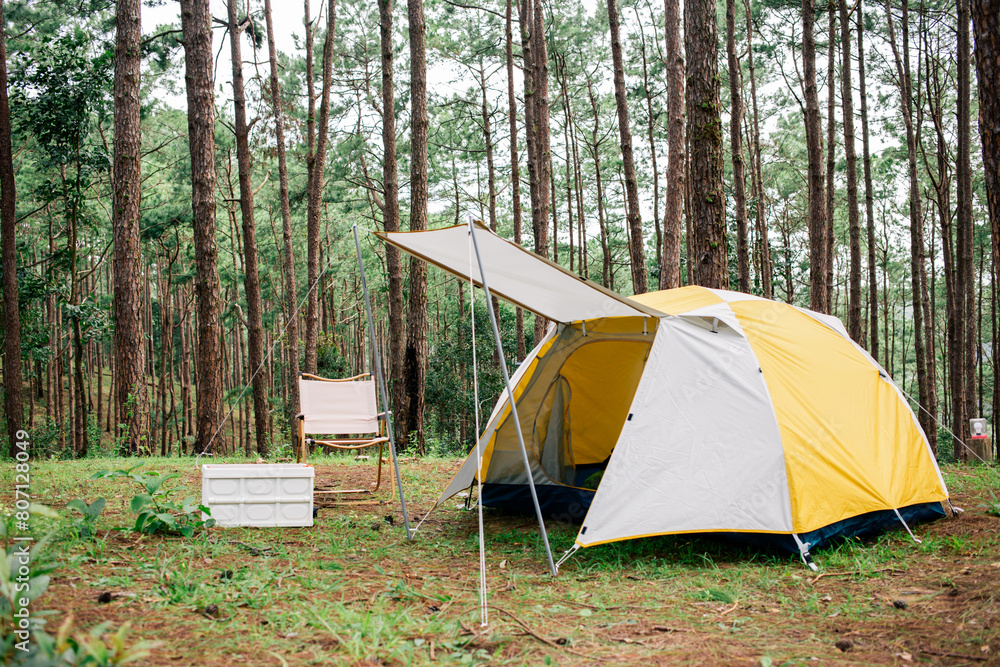 Relaxing in the peaceful outdoors, surrounded by tall pine trees and the soothing sounds of nature, at a serene camping site.