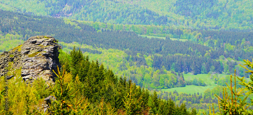 Panorama na skałę, gęsty las sosnowy i góry, Jeseniky, Czechy