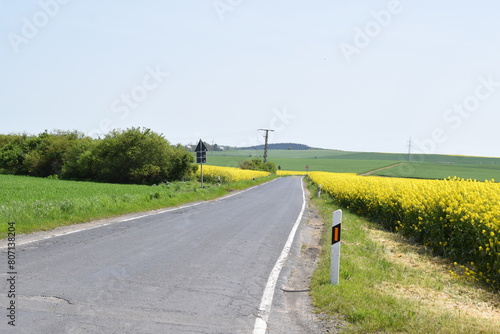 country road through yellow fields