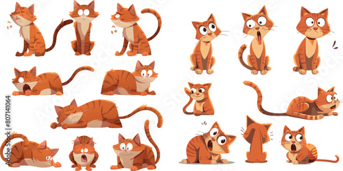 Cat behavior. Feline poses, cartoon cats characters funny emotions, afraid orange kitten scared animal pet cautiously pose and body language