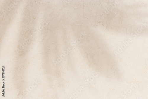 Summer minimal style background with shadow from natural palm leaf on light beige concrete background, hard light, copy space. Pastel colored aesthetic photo with palm shadows at sunlight.
