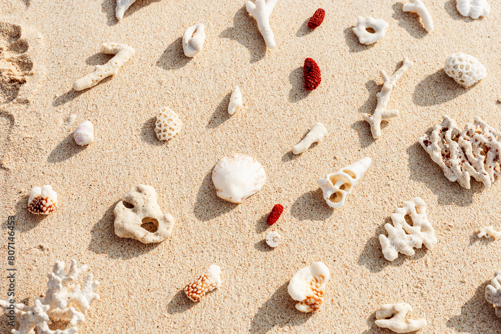 Creative pattern with Seashells and corals on sandy beach at sunlight. Summer vacation concept, beach mood. Nautical Top view minimal aesthetics still life composition on ocean shore. Nature color Creative pattern with Seashells and corals on sandy beach at sunlight. Summer vacation concept, beach mood. Nautical Top view minimal aesthetics still life composition on ocean shore. Nature color