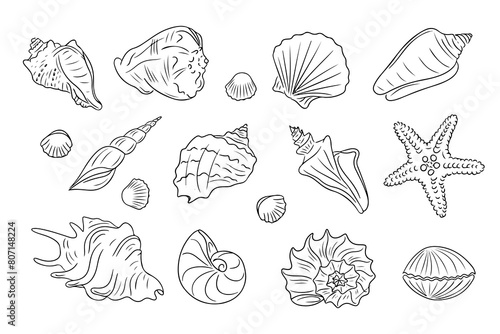 Summer beach doodle set of seashells. Collection of hand drawn contour drawing of oyster mollusk and snail shells in simple linear style. Modern minimalist outline icon set