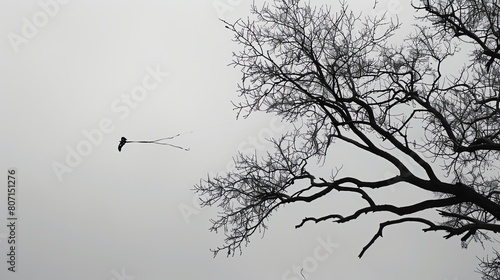Silhouette of a large tree with bare branches against a foggy sky. A bird is flying away from the tree.