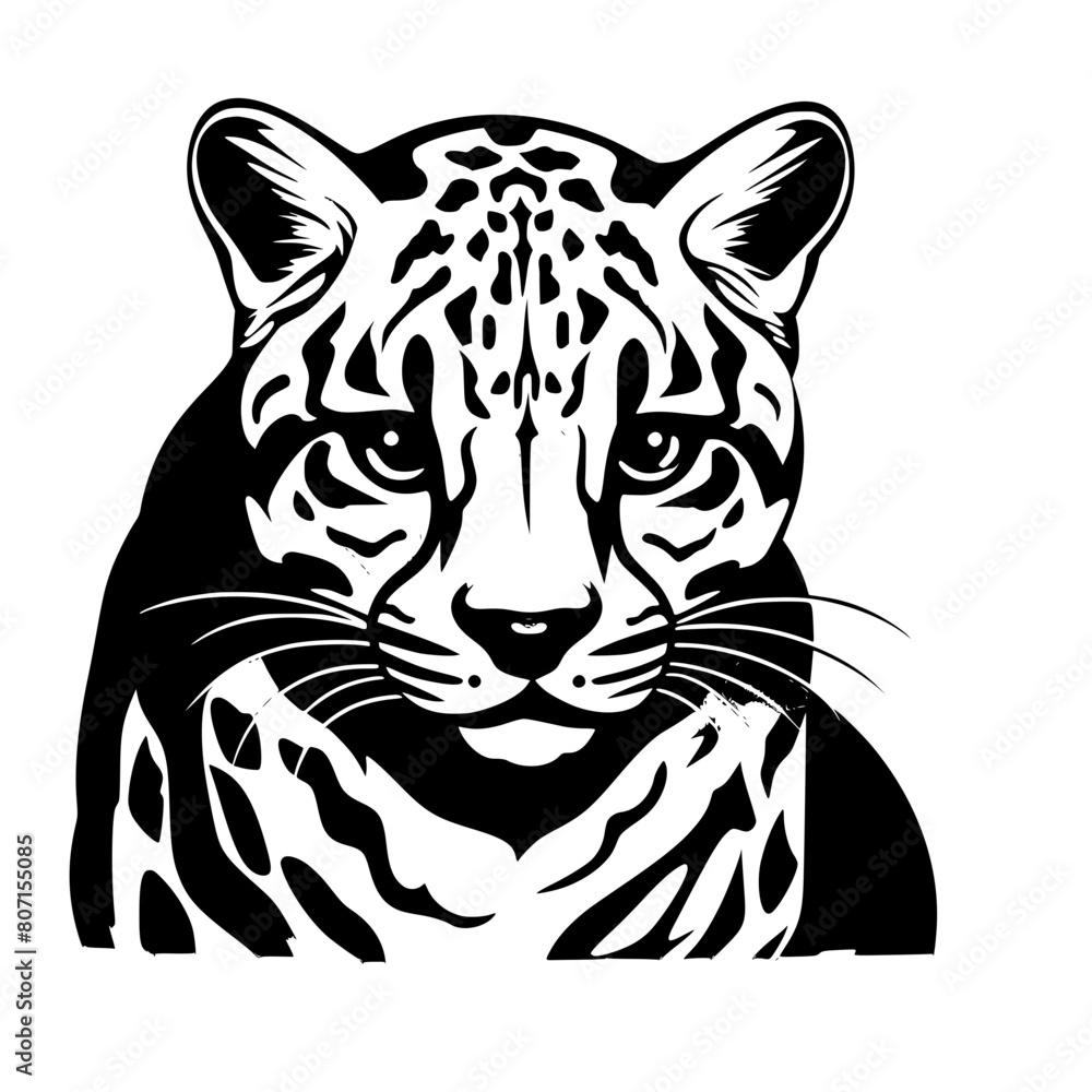 Fototapeta premium tiger head vector