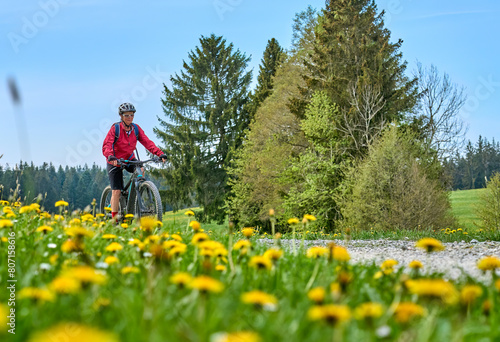 pretty senior woman riding her electric mountain bike in  springtime in the Allgau mountains near Oberstaufen,  with blooming yellow blooming Dandelion flowers in the Foreground, Bavaria, Germany