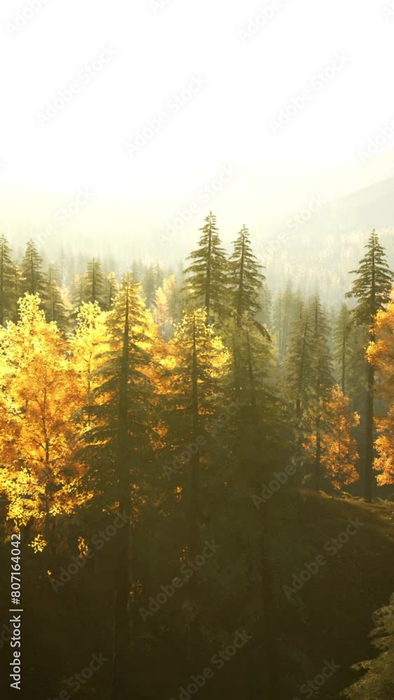 A Serene Sunset in the Scandinavian Mountains, Painted with Yellow Trees and Mist A Serene Sunset in the Scandinavian Mountains, Painted with Yellow Trees and Mist