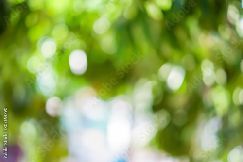 hazy abstraction The picture's subject is a green image that resembles the color of trees.