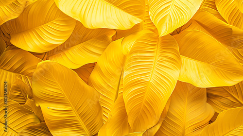 Yellow tropical leaf, summer wallpaper, beautiful and simple to use as a graphic element