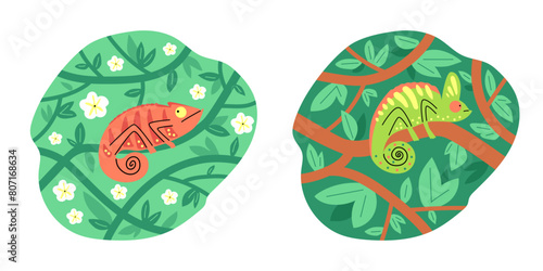 Chameleons in nature vector illustration set