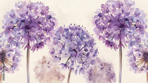 Purple Allium flowers watercolor pattern.  photo