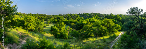 Inviting Trails and Lush Greenery: An Idyllic Texas Nature Park © Jeff
