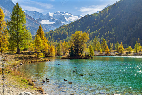 Ein sonniger Herbsttag im Engadin, Morteratsch, Pontresina, Graubünden, Schweiz
