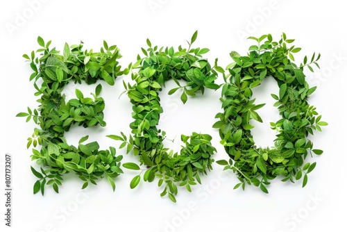 A word ECO made of green leaves on a white background