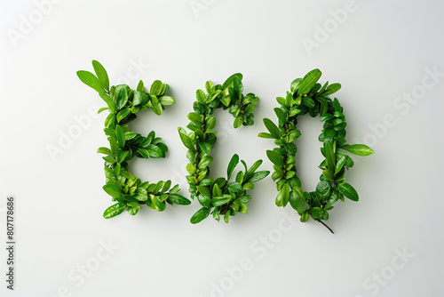 A word ECO made of green le...