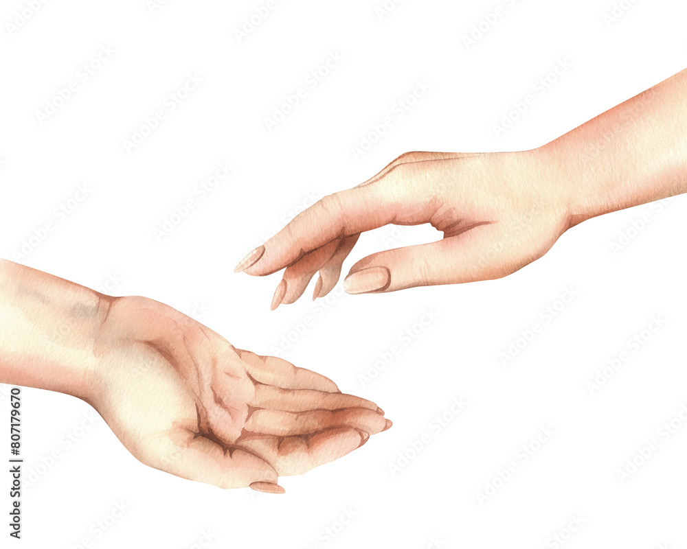 The hands of a white woman, one accepts the other gives. Realistic hand-drawn watercolor illustration. Composition isolated from the background. For the themes of Women's Day, Mother's Day, Charity The hands of a white woman, one accepts the other gives. Realistic hand-drawn watercolor illustration. Composition isolated from the background. For the themes of Women's Day, Mother's Day, Charity