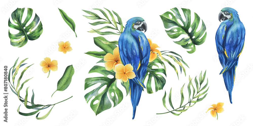 Φωτογραφία Tropical palm leaves, monstera and flowers of plumeria, hibiscus, bright juicy with blue-yellow macaw parrot