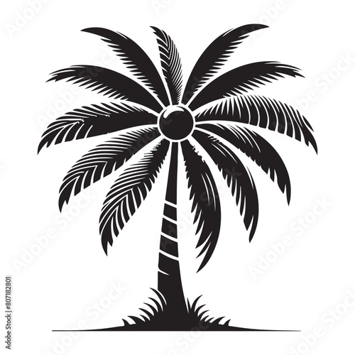 Palm trees Silhouette flat vector Illustration art.