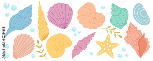 Set Sea shells, mollusks, starfish. Trendy vector illustration of seashells collection isolated on white for stickers.