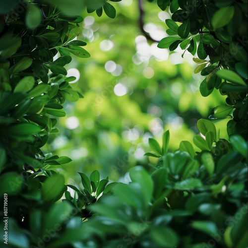 Soft focus on vibrant green foliage, providing a natural frame with ample space in the center for ecological messages and text