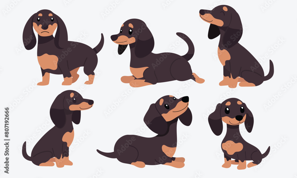 Dachshund Action Series, Diverse Poses Collection
