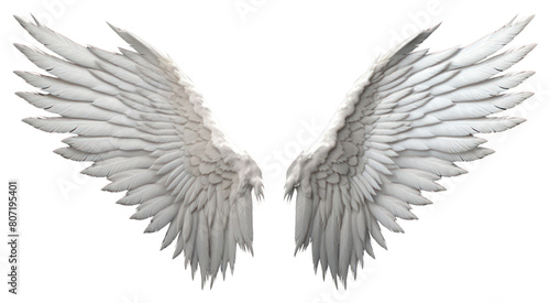 PNG Angel white bird wing. © Rawpixel.com