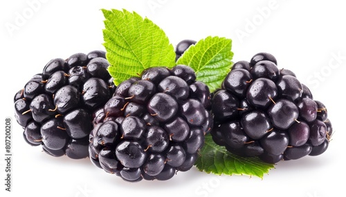 Blackberry isolated on white with clipping path