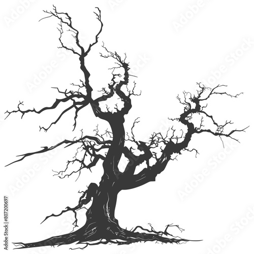 Silhouette dead tree full black color only