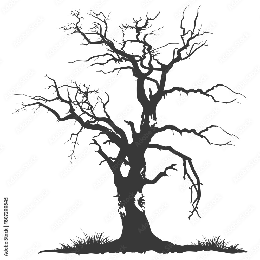 Silhouette dead tree full black color only Silhouette dead tree full black color only