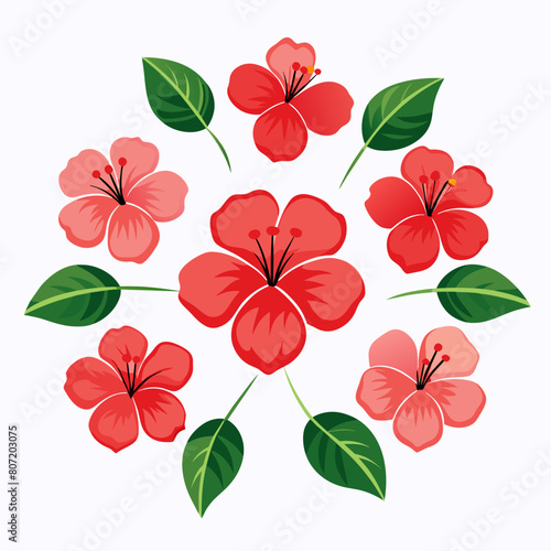 create-a-minimal-hibiscus-flower-set-vector-art-il