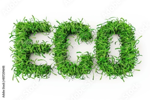 Word ECO made of green gras...