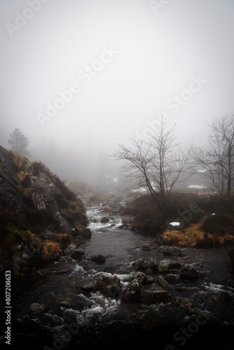 Petite rivière dans la brume matinale