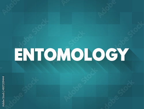Entomology is the scientific study of insects, a branch of zoology, text concept background