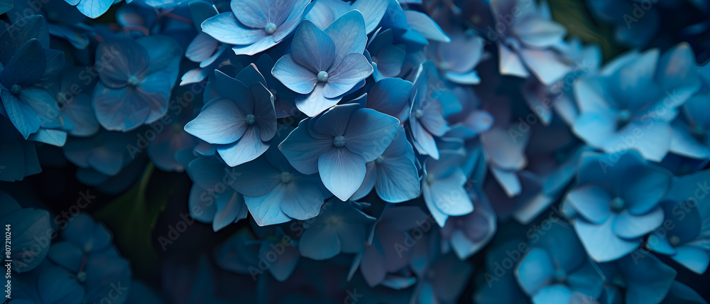 Blue flower background with vibrant color