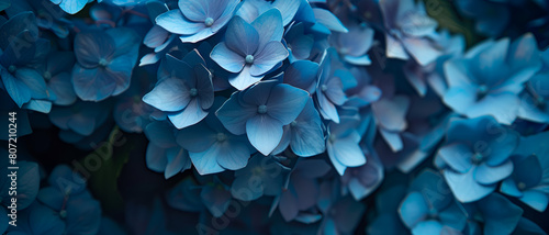 Blue flower background with vibrant color © AhmadSoleh