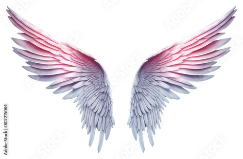 PNG Angel flying wing bird. © Rawpixel.com