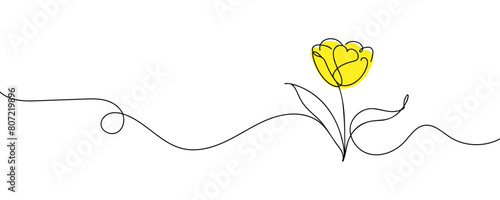 The tulip is drawn in one continuous line