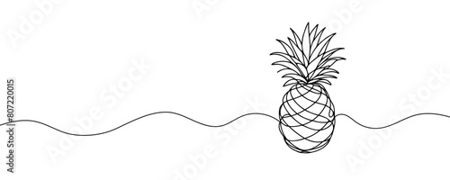 one continuous drawn line of pineapple drawn from the hand a picture of the silhouette. Line art. tropical fruit pineapple. © dariachekman