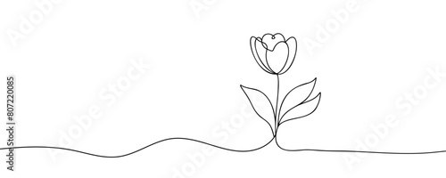 The tulip is drawn in one continuous line