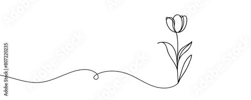 The tulip is drawn in one continuous line #807220235