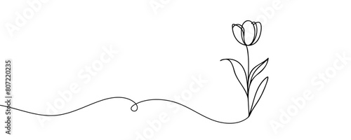 The tulip is drawn in one continuous line