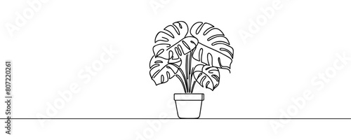 Monstera house plant in pot one line continuous drawing vector illustration. Hand drawn linear icon