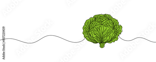 Head lettuce in continuous line art drawing style. Iceberg or crisphead lettuce design isolated on white background. Vector illustration.