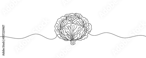 Head lettuce in continuous line art drawing style. Iceberg or crisphead lettuce design isolated on white background. Vector illustration.