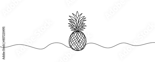 one continuous drawn line of pineapple drawn from the hand a picture of the silhouette. Line art. tropical fruit pineapple.