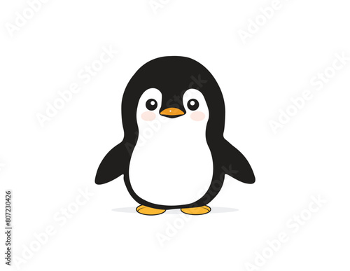 Vector cute Little Penguin front view photo