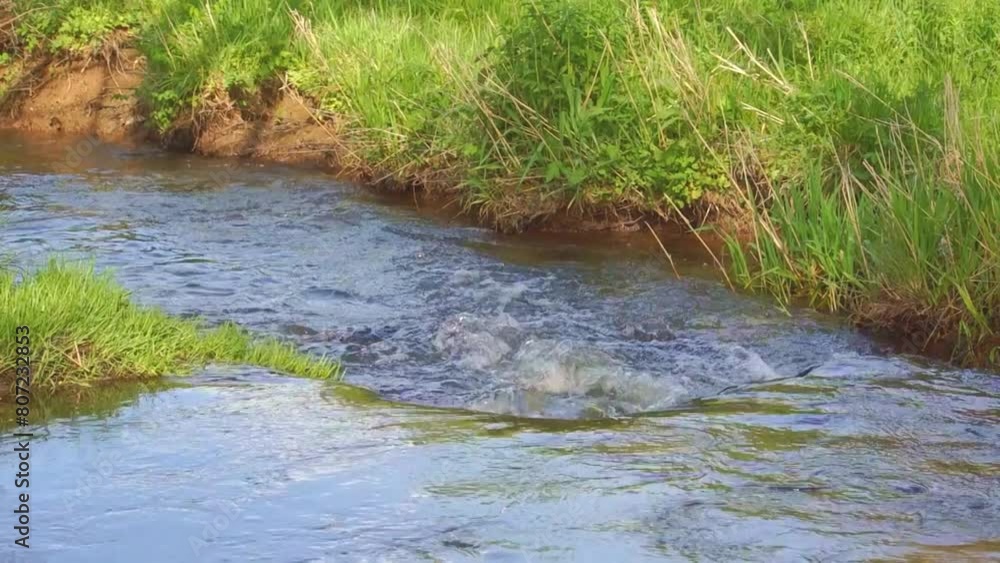 stream flowing stream flowing